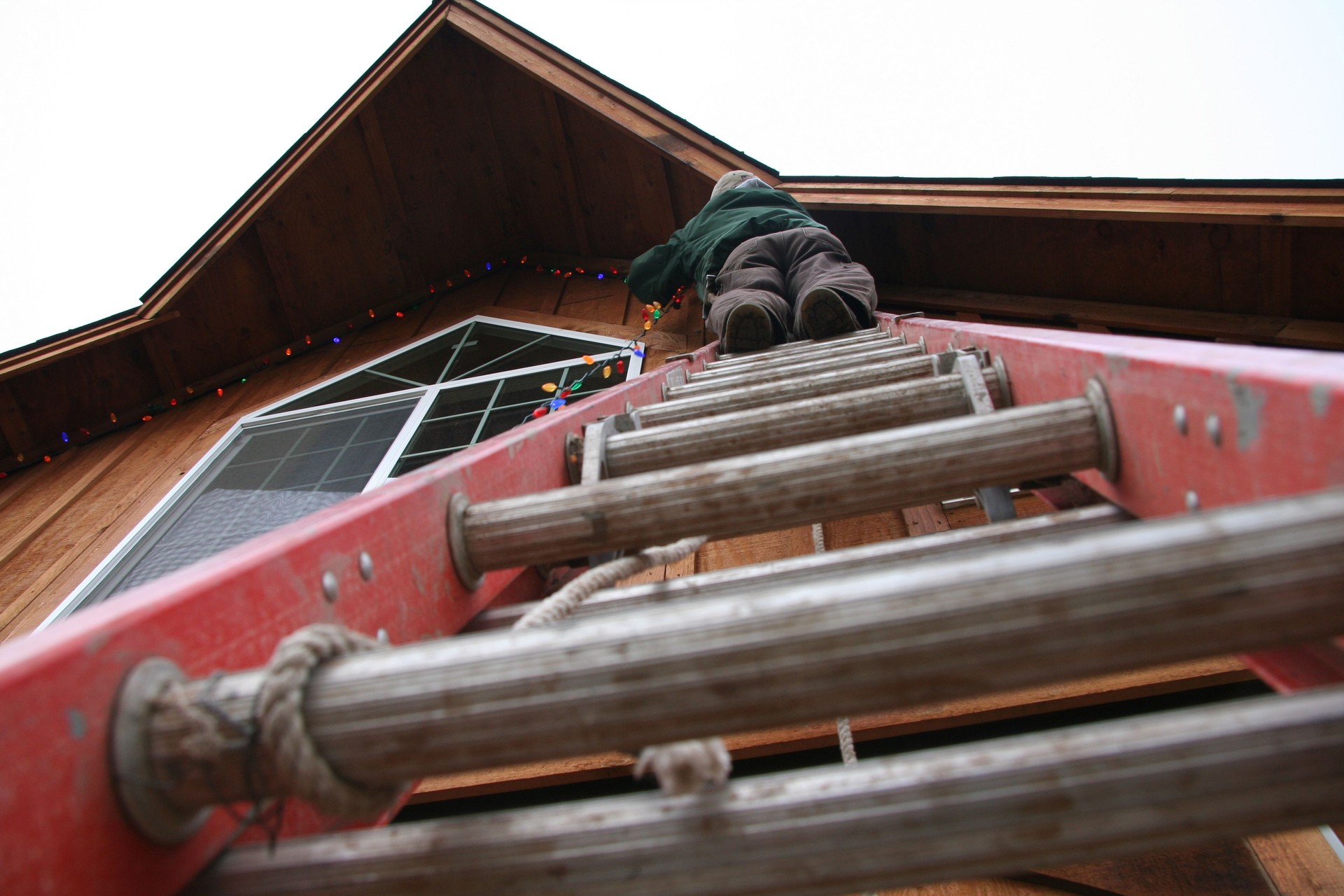 Hanging the christmas lights