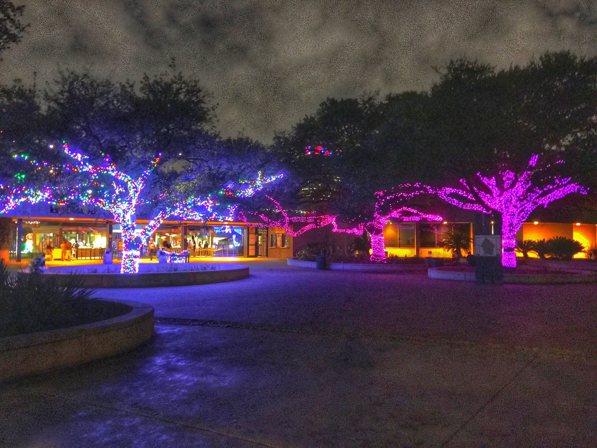 Christmas in Texas