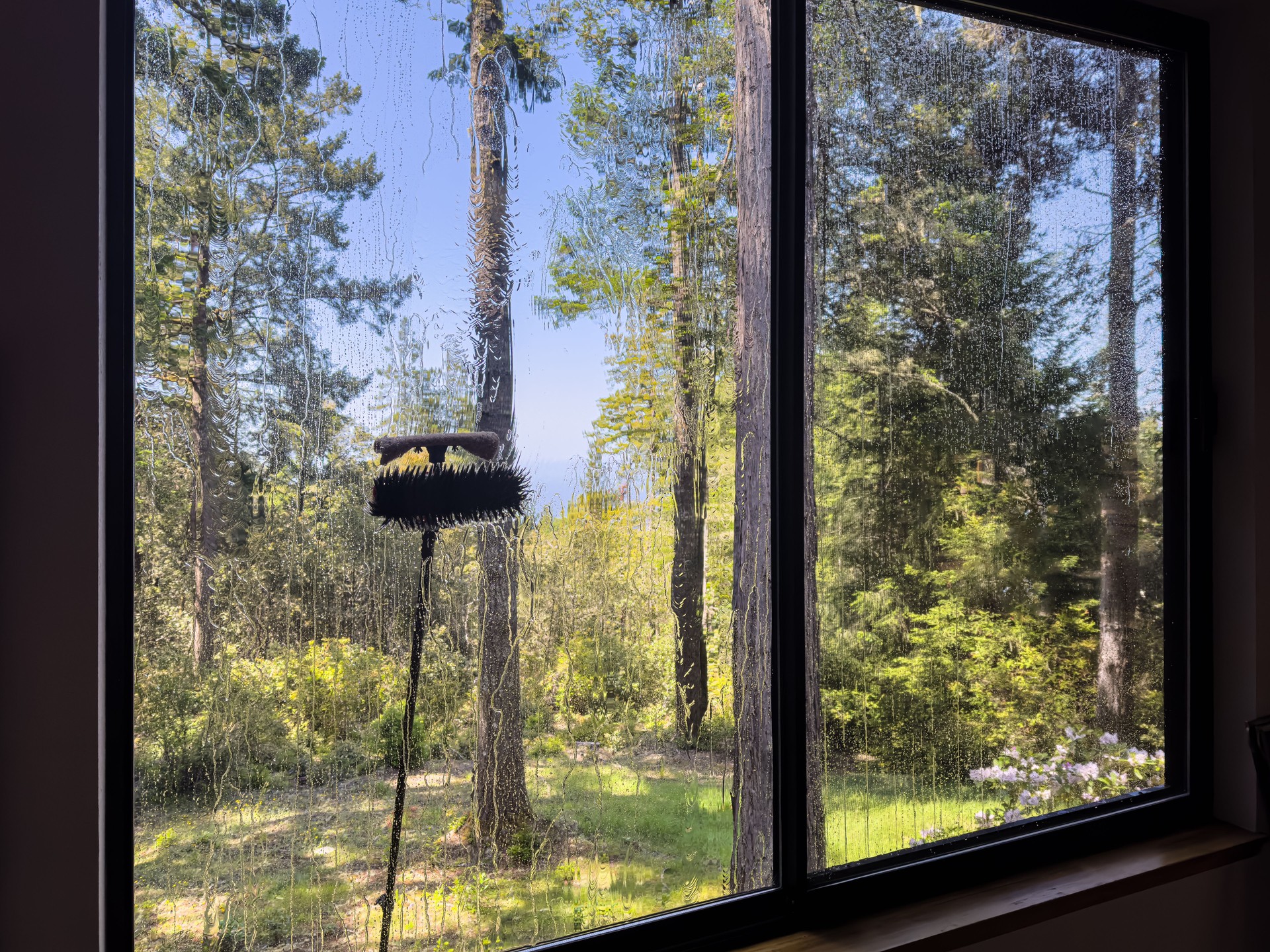 Window washing with brush and water
